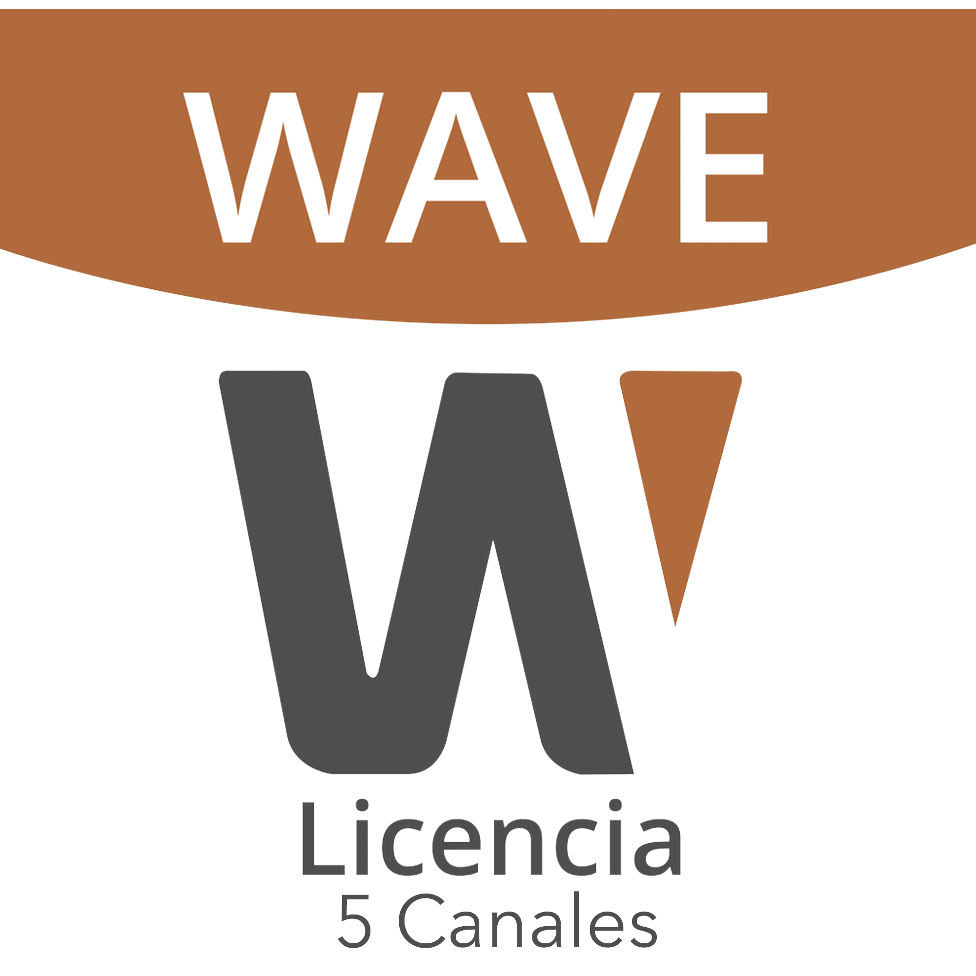 Licencia de 5 Canales de Wisenet Wave Profesional Licencia de 5 Canales de Wisenet Wave Profesional
